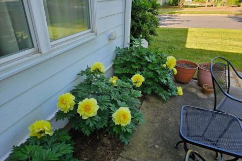 Property Image 63