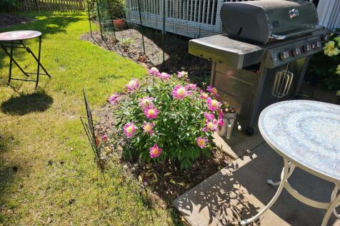 Property Image 65