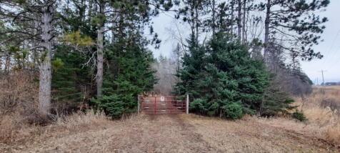 Property Image 66