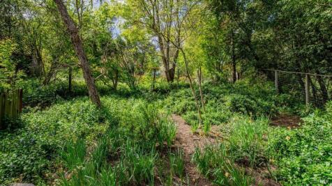 Property Image 57