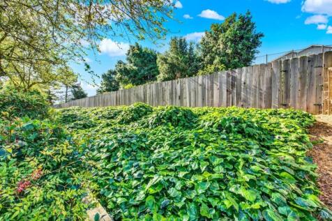 Property Image 67
