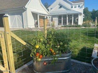 Property Image 56