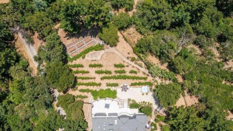 Property Image 61