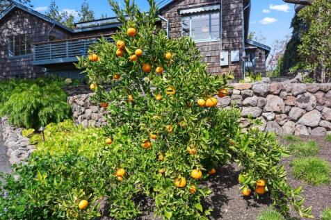 Property Image 86