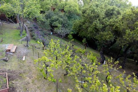 Property Image 60