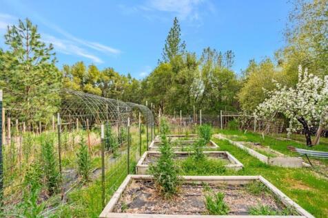 Property Image 64