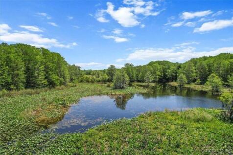 Property Image 69