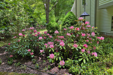 Property Image 57