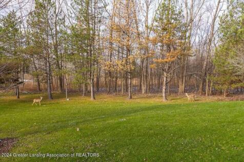 Property Image 69