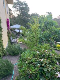 Property Image 74