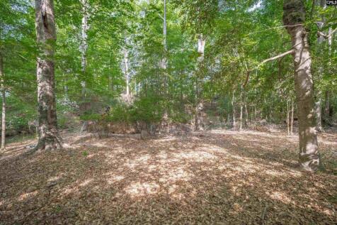Property Image 62
