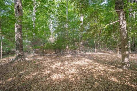 Property Image 62
