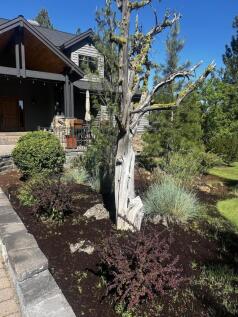 Property Image 81