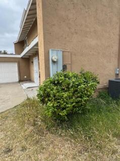 Property Image 64