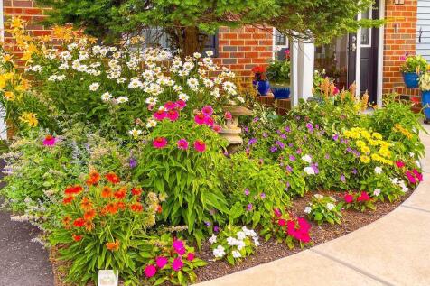 Property Image 58