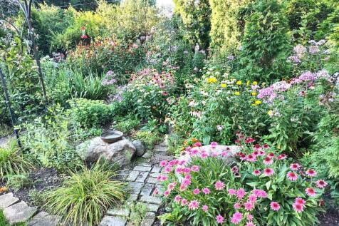 Property Image 61