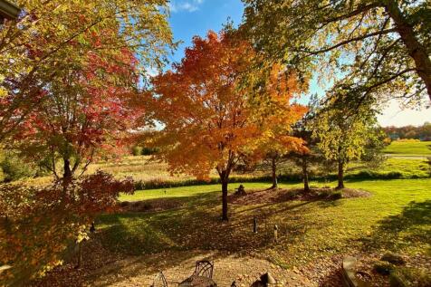 Property Image 65