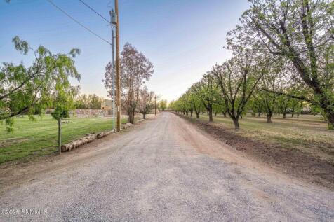 Property Image 67