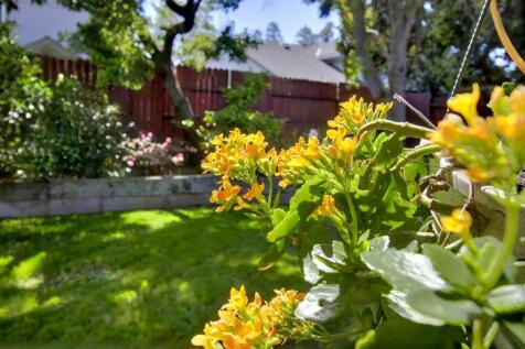 Property Image 63