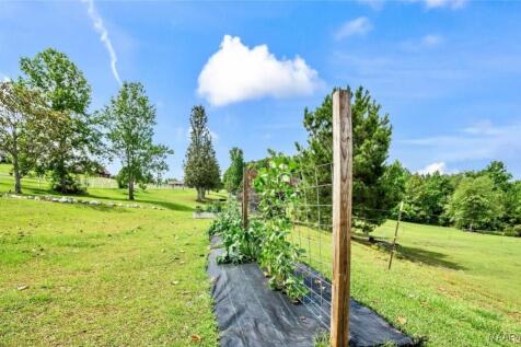 Property Image 66