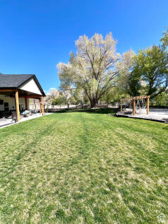 Property Image 65