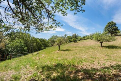 Property Image 64