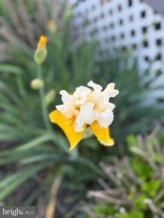 Property Image 69