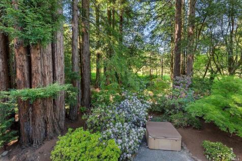 Property Image 55