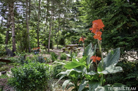 Property Image 83
