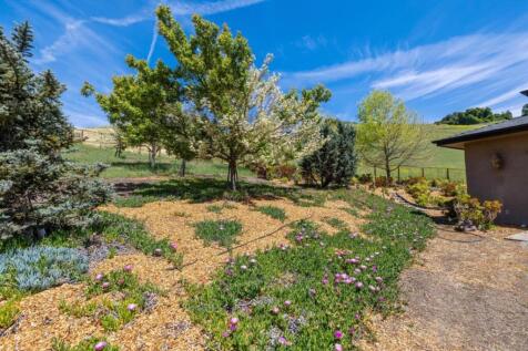 Property Image 104