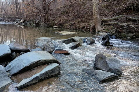 Property Image 66