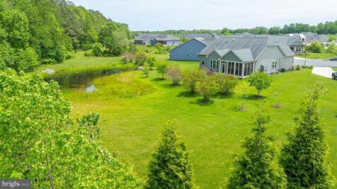 Property Image 58