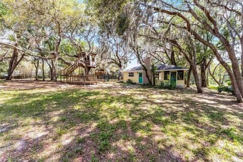 Property Image 59