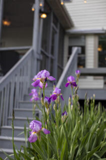 Property Image 63