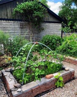 Property Image 56