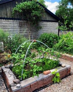 Property Image 58