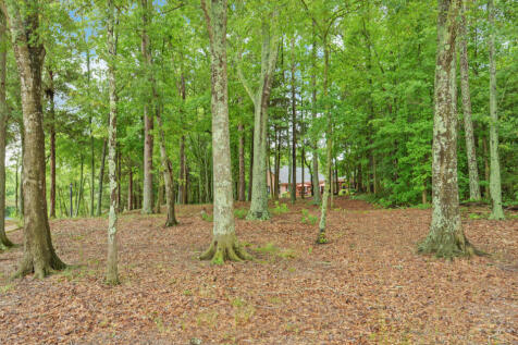 Property Image 55