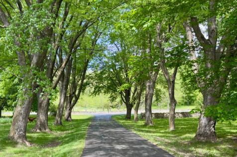 Property Image 101