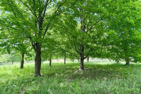 Property Image 119