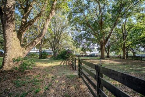 Property Image 69
