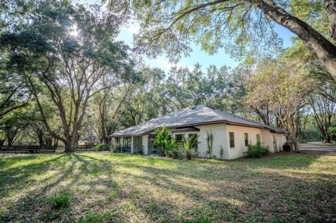 Property Image 62