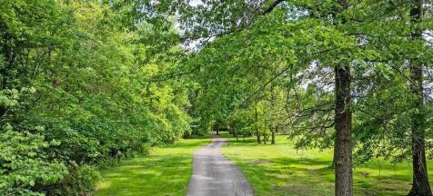Property Image 65