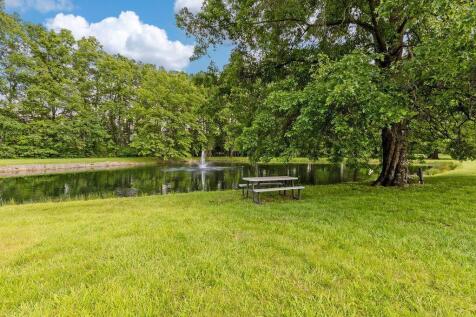 Property Image 81