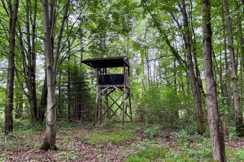 Property Image 61