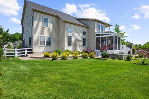 Property Image 61