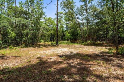 Property Image 56
