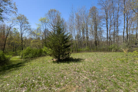 Property Image 90