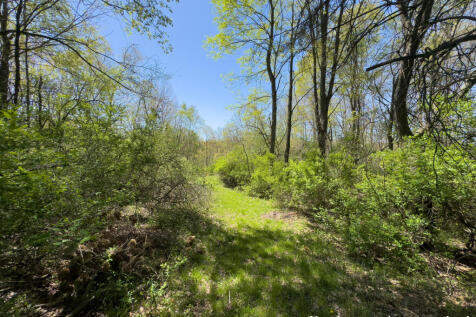 Property Image 95