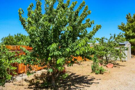 Property Image 64