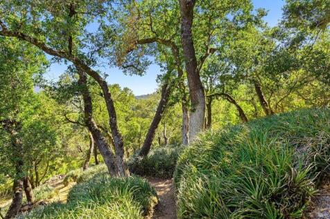 Property Image 69